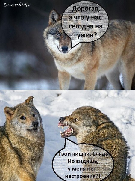 Нас преследует лайтовая воскресная деградация!