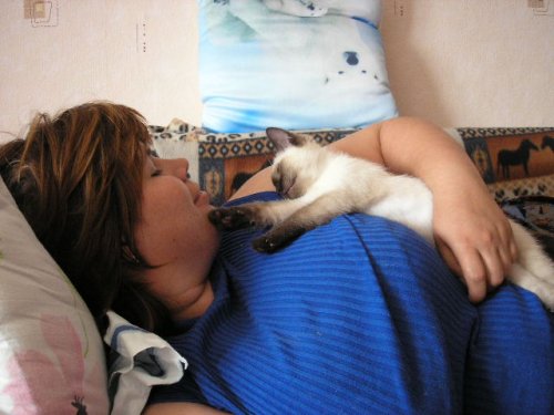Кошак в шоке