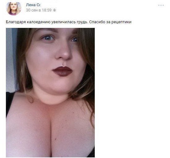 Скотсети и прочие интернеты 14.09.18