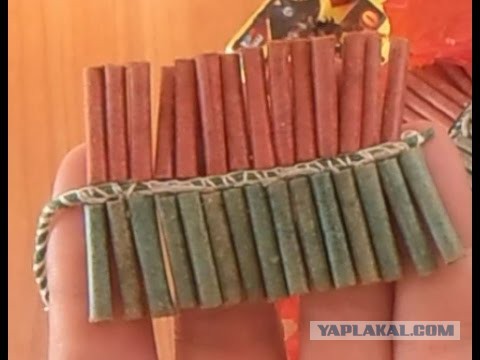 На митинге в Ингушетии силовики начали стрелять в воздух