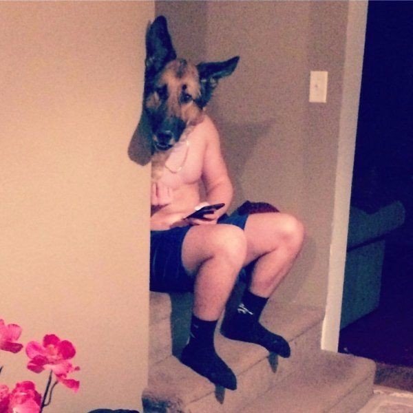 Милые животные. Мимиметр сломался