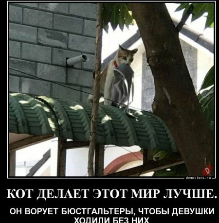Анекдоты, истории и картинки с надписями