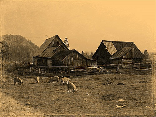 Сибирские деревни в тайге фото