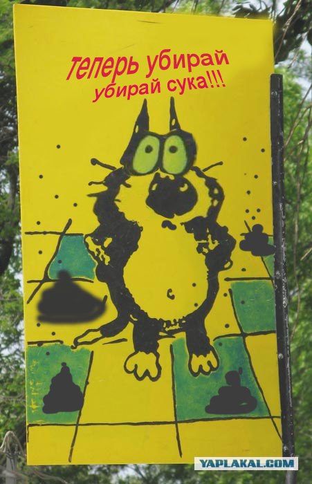 Давай корми!