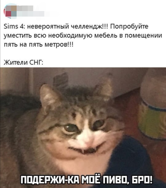 Комментарии к постам в разных группах, которые вызвали улыбку
