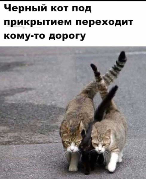 Немного картинок для настроения 21.03.20