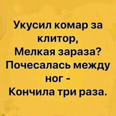 Немного картинок для настроения 28.04.20
