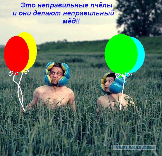 Фотожаба: Волшебники страны 03