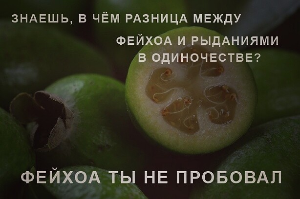 Немного картинок для настроения 04.07.20