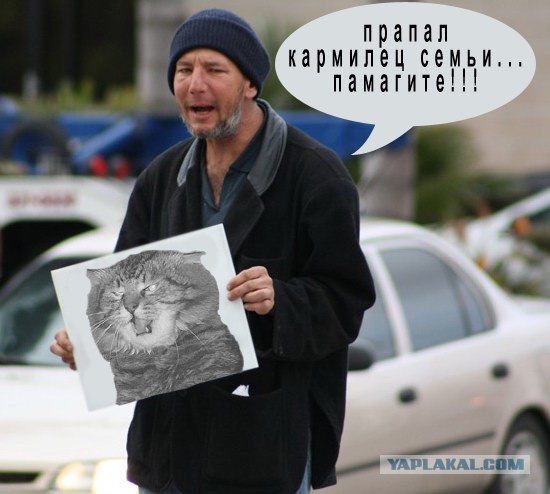 Злой кот