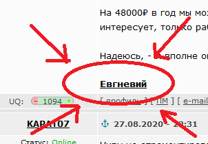 "Казалось бы: 30-ка не плохие по нынешним временам деньги"