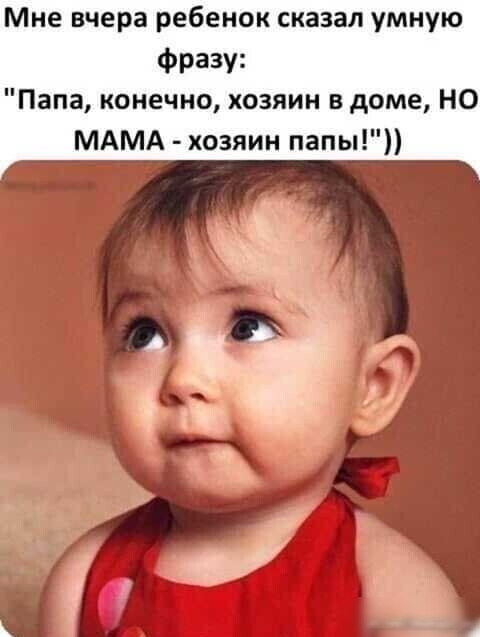 Фотки и картинки: юморные и красивые, забавные и милые 02.11.20