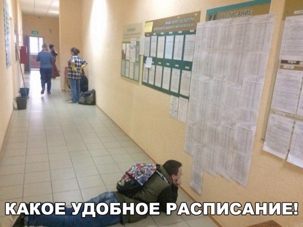 Картинки и мемы для настроения 025