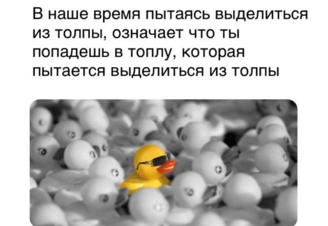 Картинки и мемы для настроения 011