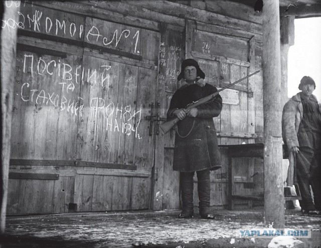 Наркоманов – с праздничком