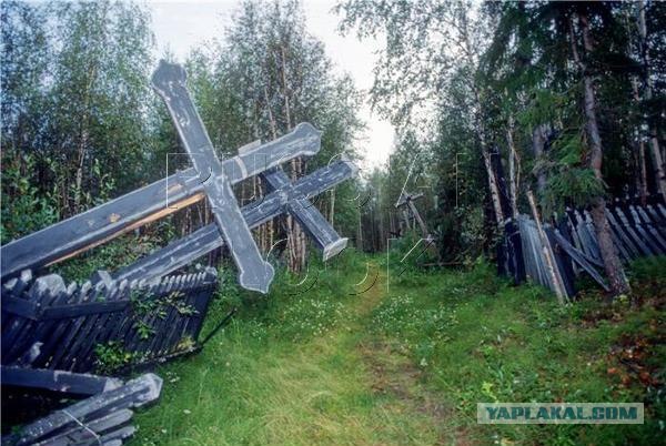 Сегодня все достойные, адекватные люди хотят обратно в СССР. Почему?