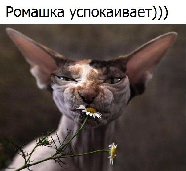 Картинки и буквы 15.07.22