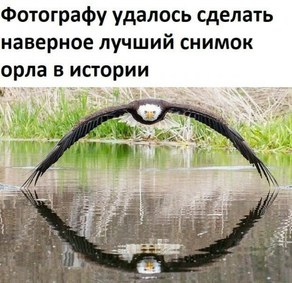 Так себе картинки 19.03.22