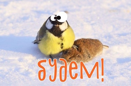 Жестокость животного мира