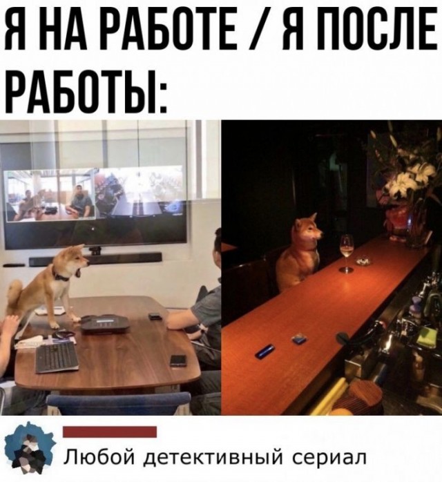 Картинки и мемы для настроения - 11
