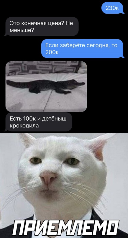 Немного картинок для настроения - 131