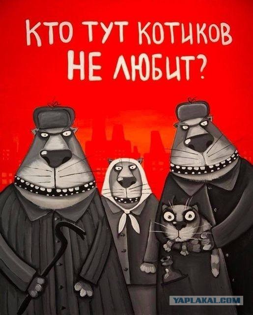 50 оттенков серого если самосвал баянов.  Vol.23