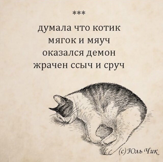Немного картинок для настроения - 105