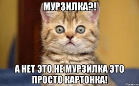 Министр обороны Шойгу предложил поэтапно увеличить возраст призыва с 18 до 21 года