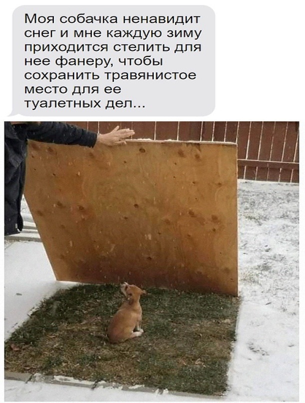 Немного картинок для настроения - 137