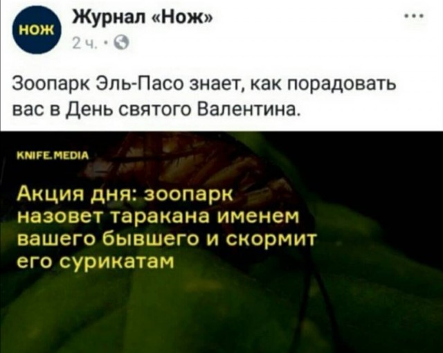 Нуштош 25.02.23