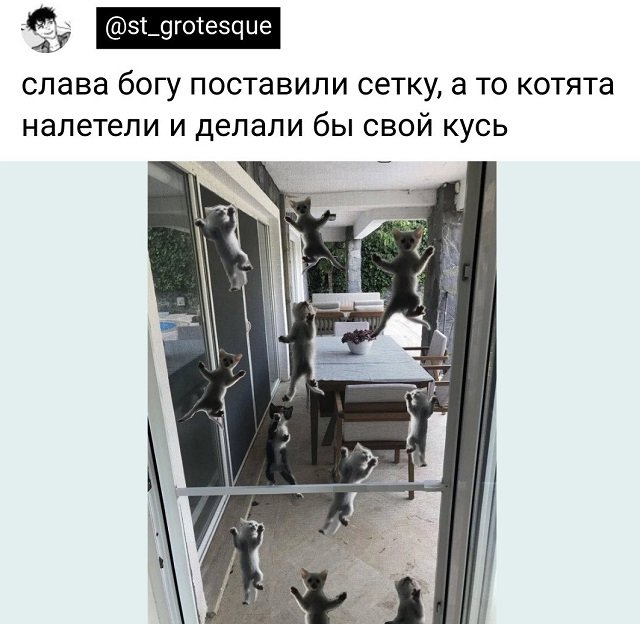 Немного картинок для настроения - 139