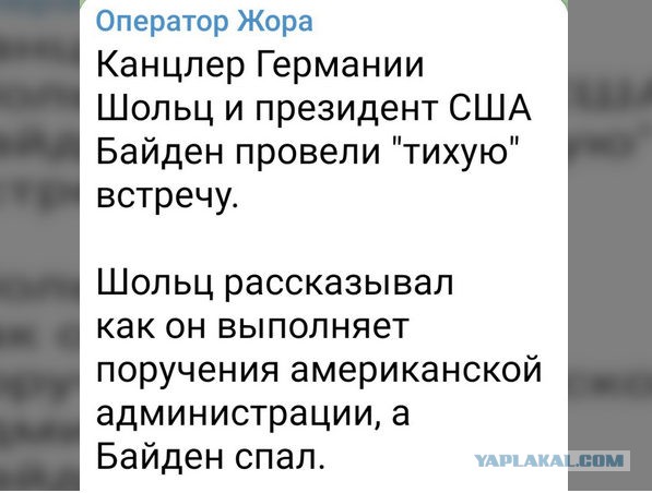 Шольц заявил, что поставки оружия России привели бы к "последствиям" для Китая