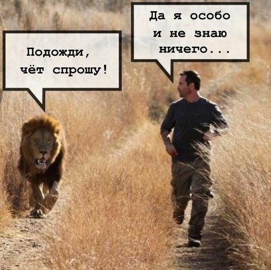 Победная поступь идиотизма по планете – том 11