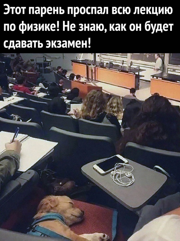 Картинки и мемы, всяко разно - 183