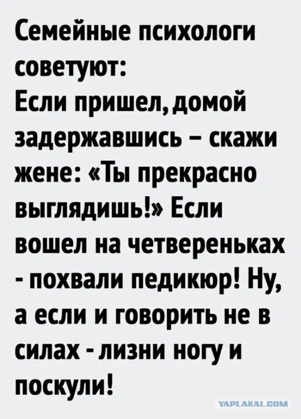 Как быть мужьям, чьи жены - "непьющие алкоголички"?⁠⁠