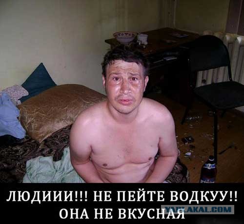 8 картинок с подписями, коллеги!