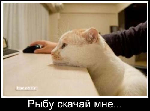 Рыбные воришки