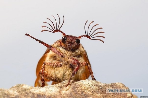 Срочные новости из Самары!