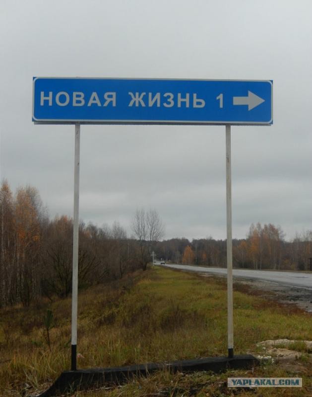 Новая жизнь