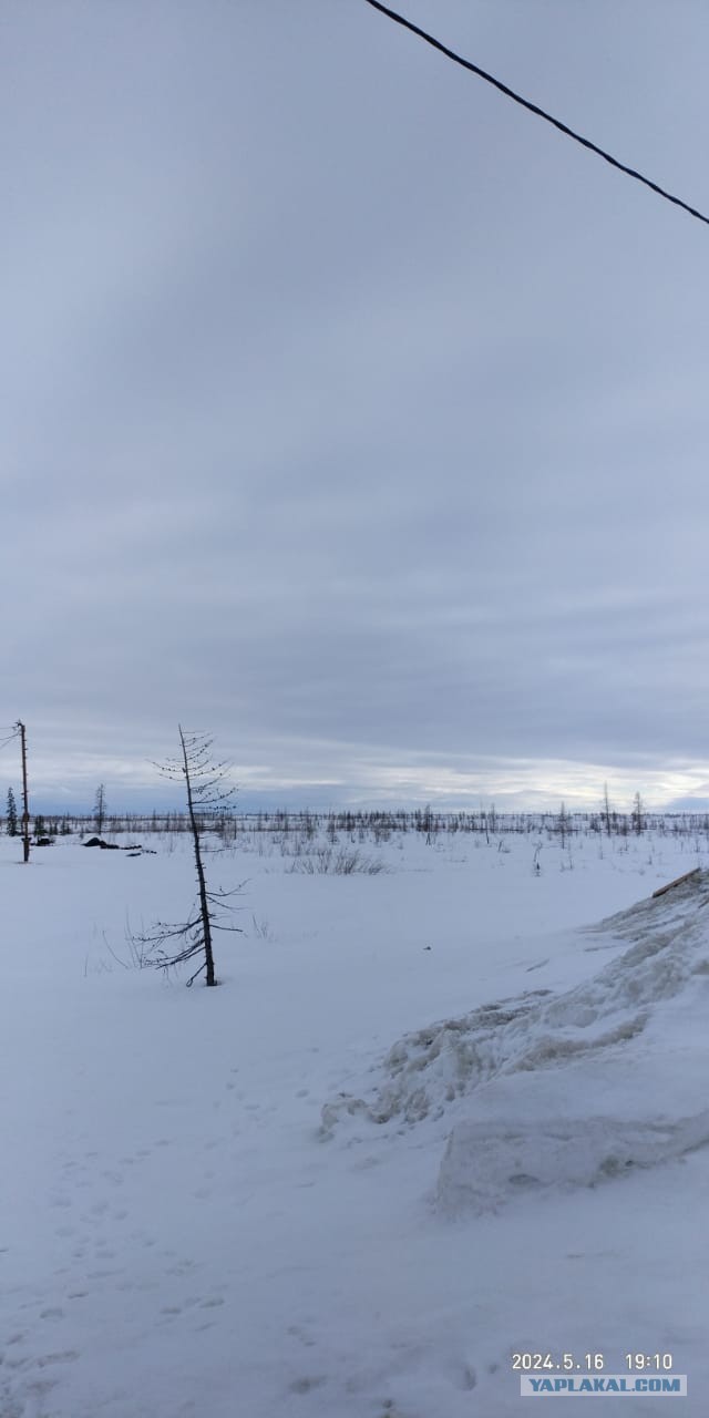 Невеселые картинки