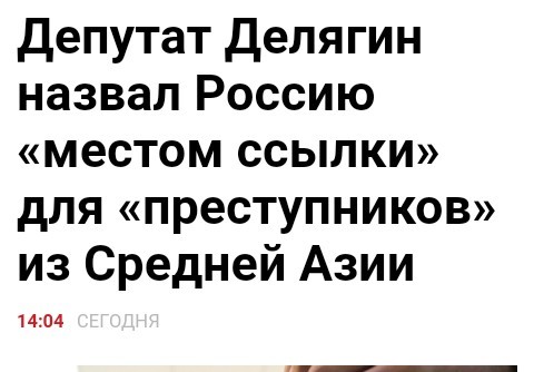 В Госдуме заявили, что в России жители Средней Азии находят поддержку у «диаспор» и творят «всё, что угодно»