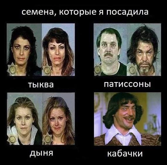 Юмор в картинках и без