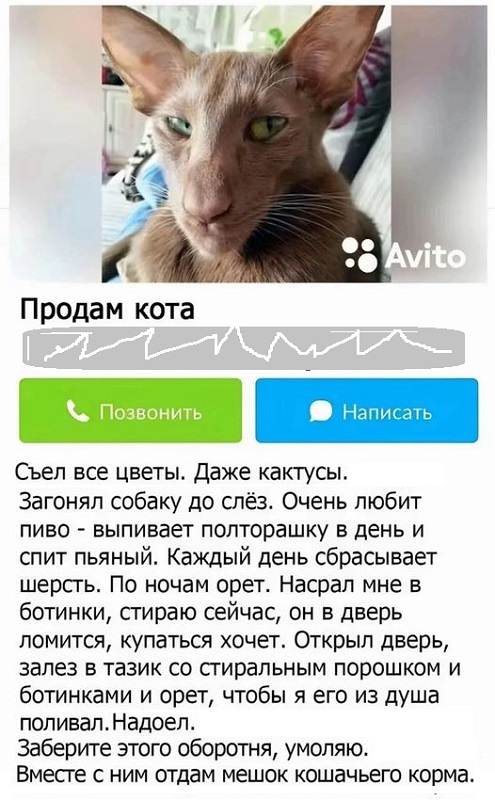 Картинки разные с надписями и без