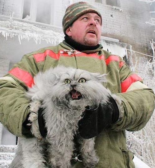 Чудесное спасение
