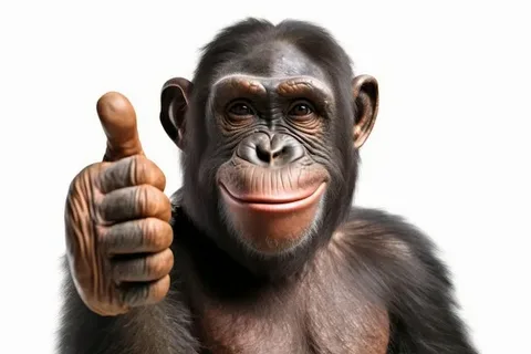 Маркетолог теперь ищет новую работу