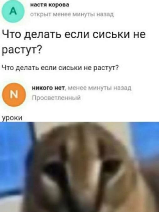 Мало кто знает, что если в Windows 11 нажать