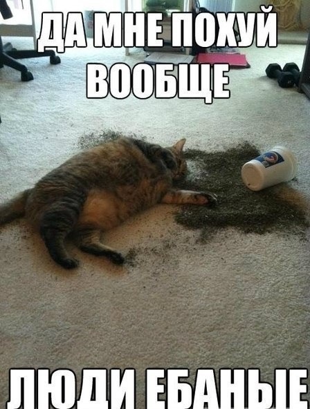 Папка с ответами