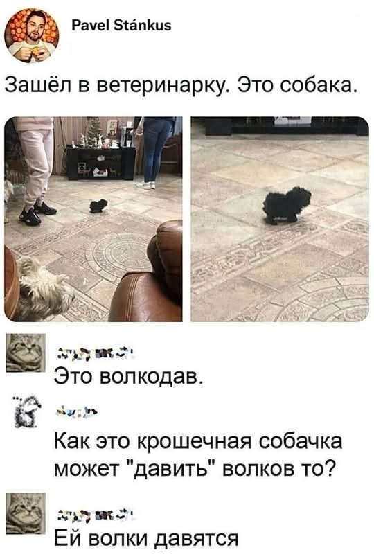 Маленькая пятница 23.07