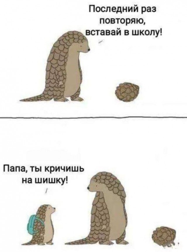 Картинки для деградации 45 (разной степени свежести)