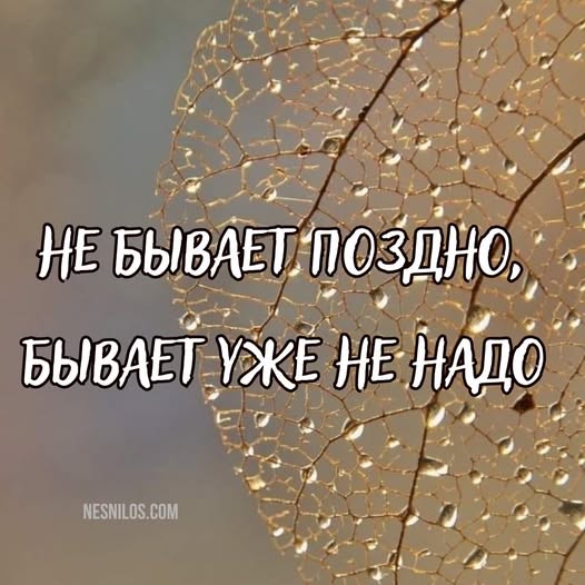 Веселое настроение в картинках (03.10.2025)